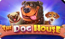 Jettbet – The Dog House